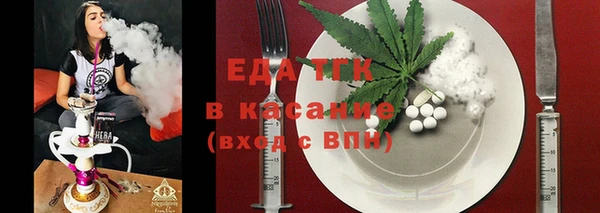 спиды Богородицк