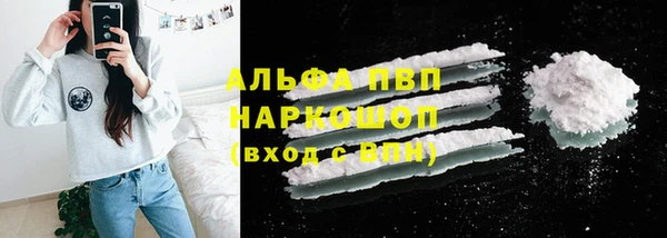 спиды Богородицк