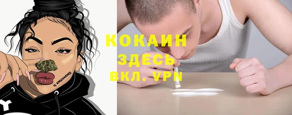 амф Богданович