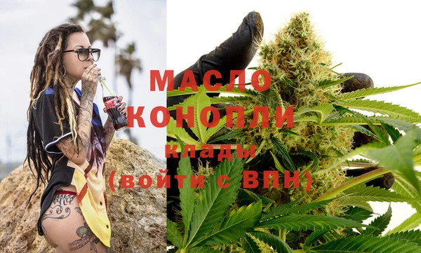 спиды Богородицк