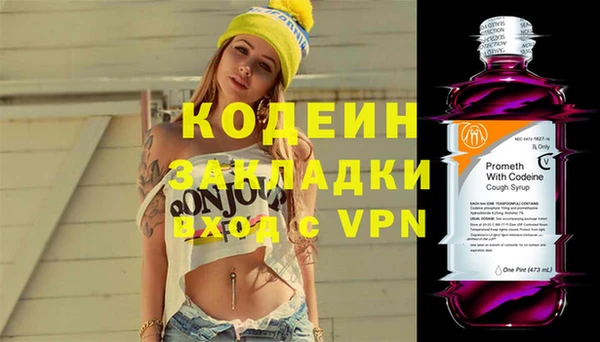 спиды Богородицк