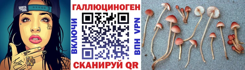 купить наркотик  blacksprut ССЫЛКА  Галлюциногенные грибы мухоморы  Медногорск 